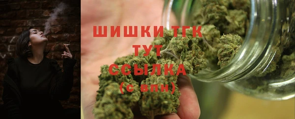 мдпв Магас