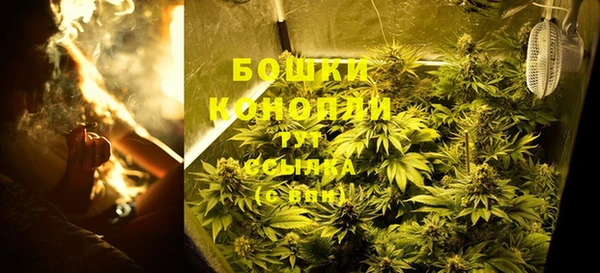 ПСИЛОЦИБИНОВЫЕ ГРИБЫ Майский