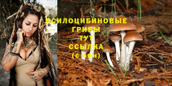 ПСИЛОЦИБИНОВЫЕ ГРИБЫ Майский