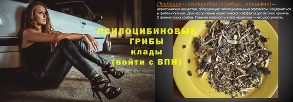 мдпв Магас