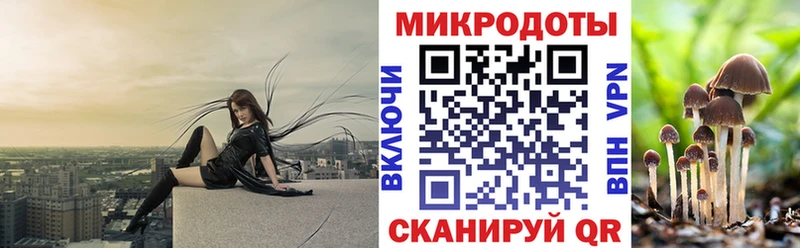 Галлюциногенные грибы GOLDEN TEACHER  MEGA рабочий сайт  Катайск  закладки 